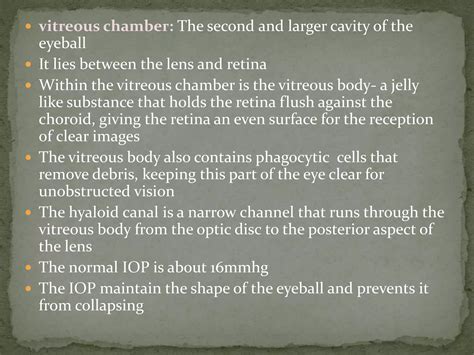 What Prevents The Eyeball From Collapsing