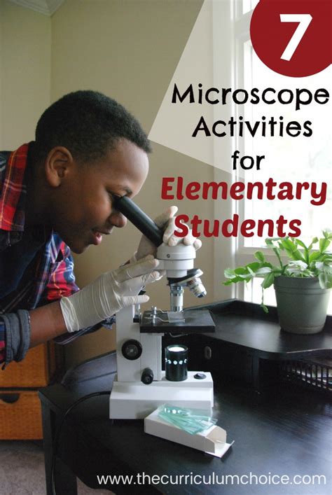 Image result for How To Use A Microscope For Elementary Students