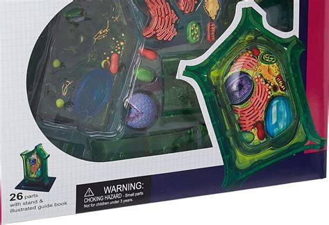 Classroom Teaching Aids For Science 2 Set Magnetic Animal & Plant Cell ...