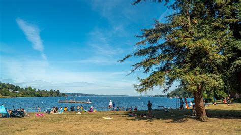 Se Permiten Perros En El Parque Seward De Seattle