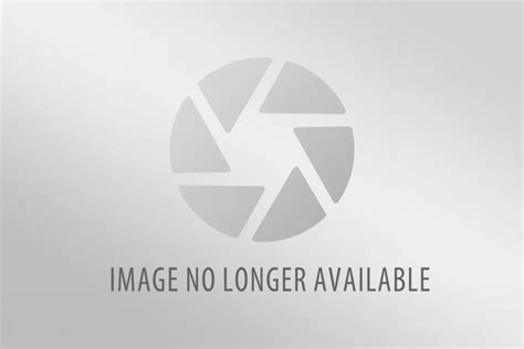 Local Festivals This Weekend 的图像结果