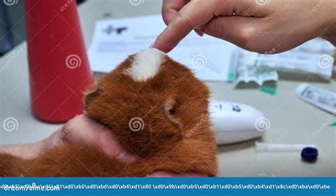 Image result for Chart Work for Computer Science Class 12