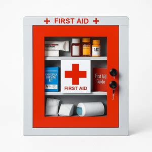 Driver Safety Equipments - Buy Driver Safety Equipments Online at Best ...