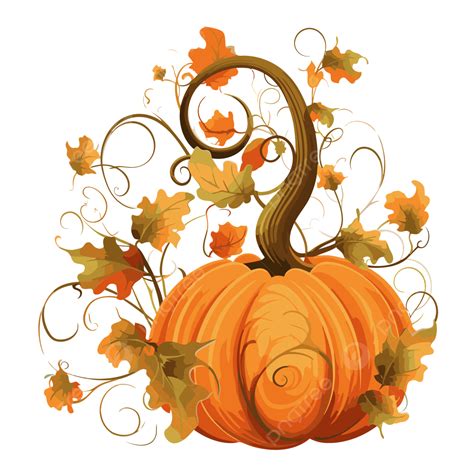 Bordure De Vigne De Citrouille Clipart Pumpkins On Vine : Résultats