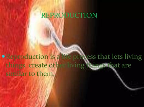 Image result for Reproduction for Human