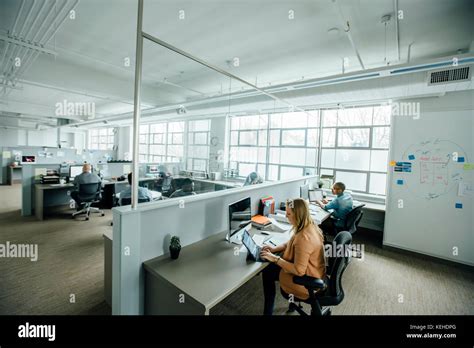 Busy Office People 的图像结果