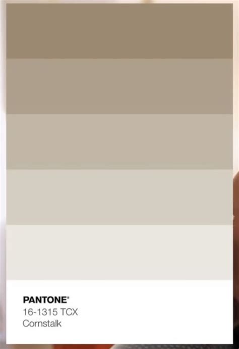Image result for Colors in Python Program