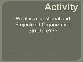 Projectized Organization Structure 的图像结果