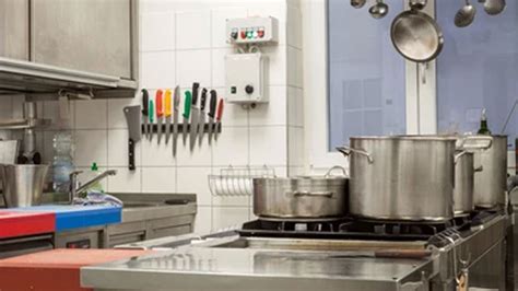 Image result for Pest Control Modimolle