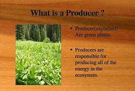 Image result for producers