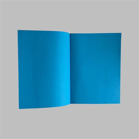 Vibrant Series - Blue Colour – TheStore67