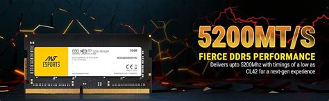 Amazon.in: Buy Ant Esports 690 NEO FP 32GB (1 * 32GB) DDR5 5200 MHz CL ...