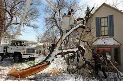 Reliable Storm Damage Cleanup & Debris Removal Service