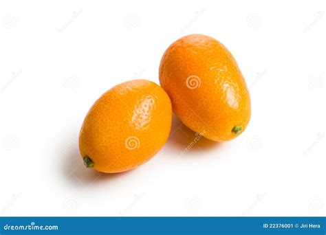 Kumquat fruit stock image. Image of juicy, heap, dieting - 22376001
