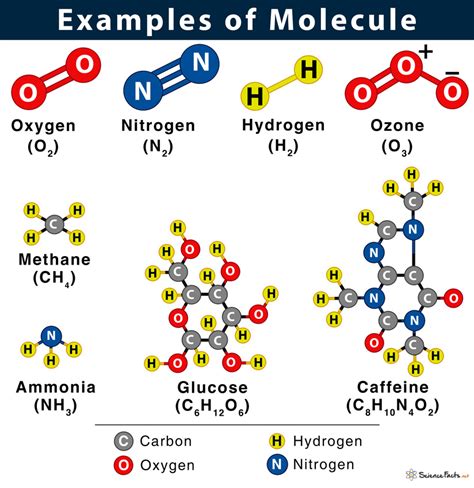 Image result for Example of Nonpolar Molecule