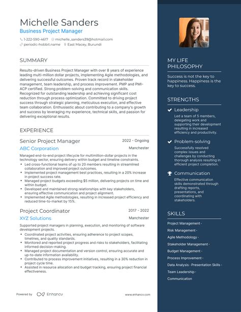 Infographic Resume Project Manager