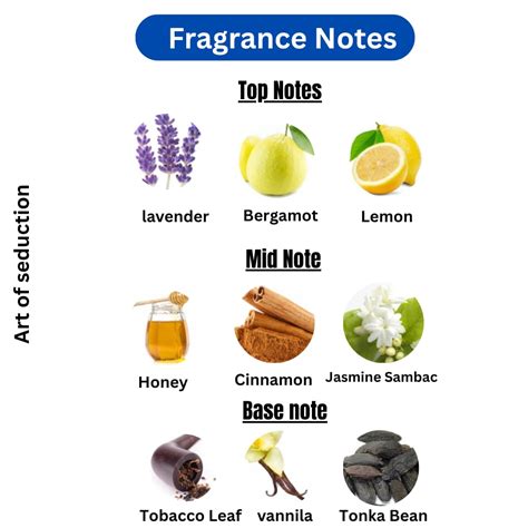 ART OF SEDUCTION | XJ 1861 Naxos Xerjoff – FUSION BY RIZWAN