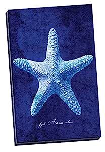 Portfolio Canvas Decor Starfish by GI ArtLab Large Canvas Wall Art, 24 ...