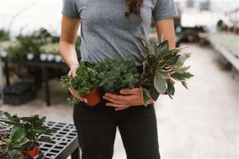 Mill Creek Gardens Pop-Up @ Ruby Cafe Nelsonville, 9489 First Street ...