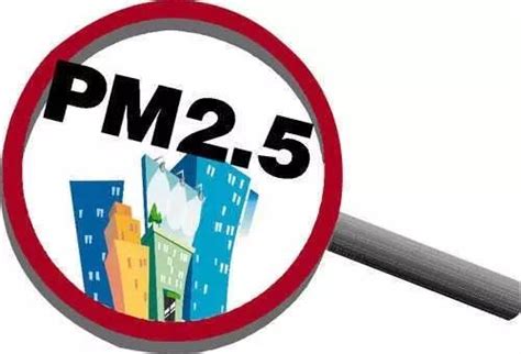PM2.5不只傷肺！這4族群要注意會造成血糖飆高、神經退化 - Heho健康