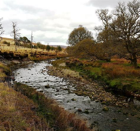 KIPPURE EDUCATION & ADVENTURE (2025) All You Need to Know BEFORE You Go ...