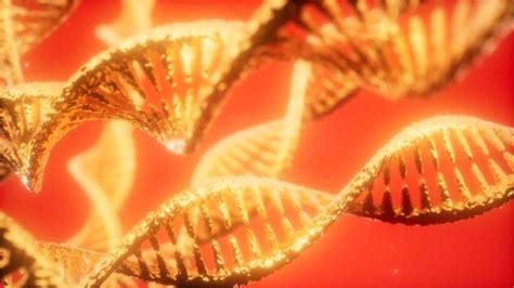 Image result for Reading DNA Animation