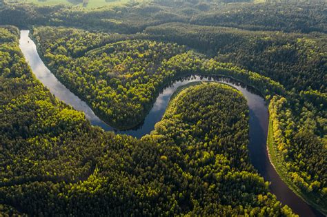 From Amazon to Congo: Discover the world’s most popular rainforests ...