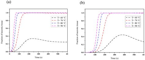 Improved Modeling of Temperature Evolution during Lung Cancer Tumor ...