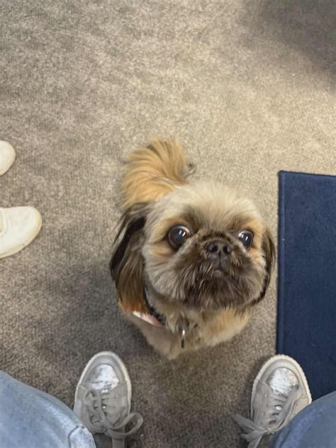 Ashtabula Municipal Court | Ashtabula OH