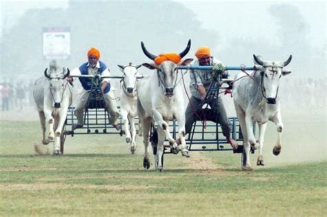 Kila Raipur Sports Festival 2024, India - Venue, Date & Photos