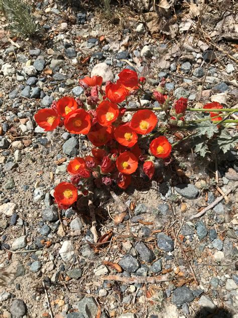 Home-Walker River Resort an oasis of outdoor fun and recreation