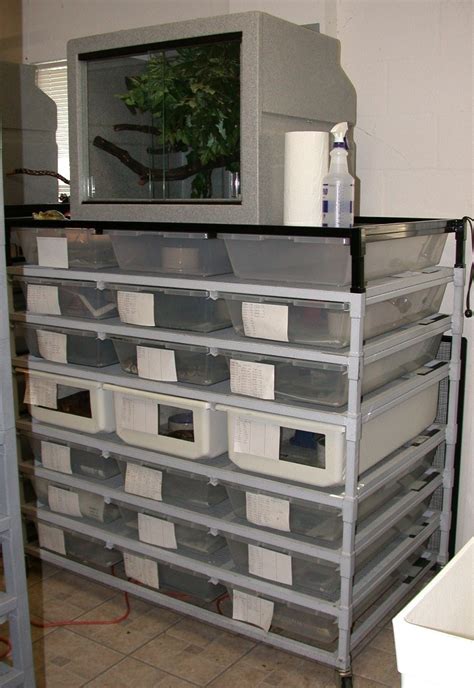 Image result for Ball Python Rack Setup