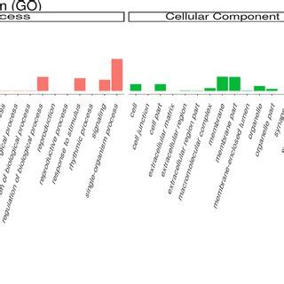 Classification Channel Go 的图像结果