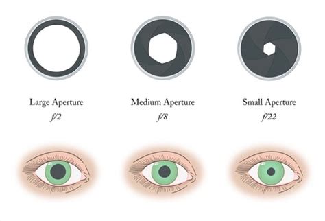 Image result for Pinhole Vision Test