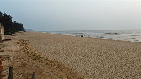 ECO BEACH - All You Need to Know BEFORE You Go 2026 (with Photos ...