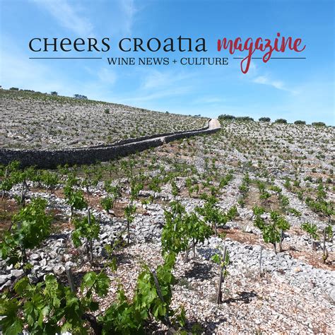 Croatian Uplands Wineries - Cheers Croatia Magazine