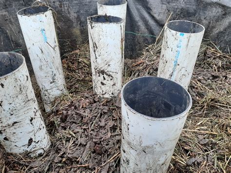 Image result for Johnson Su Composting Method