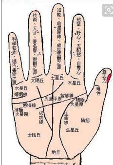 中国手诊手疗法的独特优势★掌纹手相★ 怎样看手诊-周易算命网