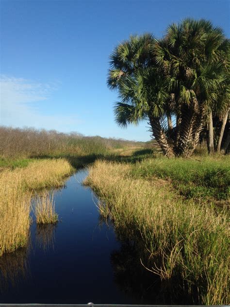 Visit Fellsmere: 2022 Travel Guide for Fellsmere, Florida | Expedia