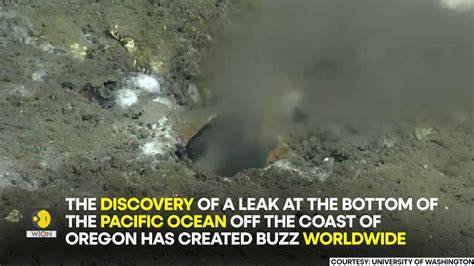 Ocea Wave Onlyfans Leak