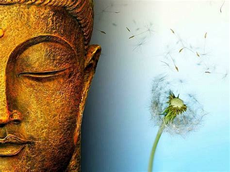 Buddhism and the life of a bacterium | Meer