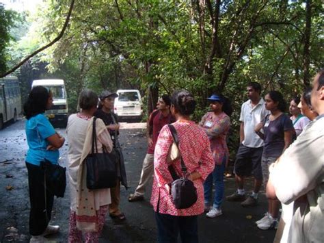 Goregaon - JungleKey.in Image