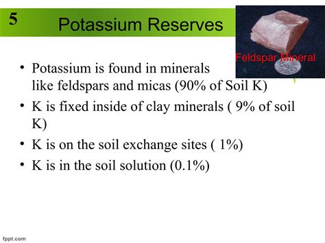 Acquisition of K in Plants | PPT