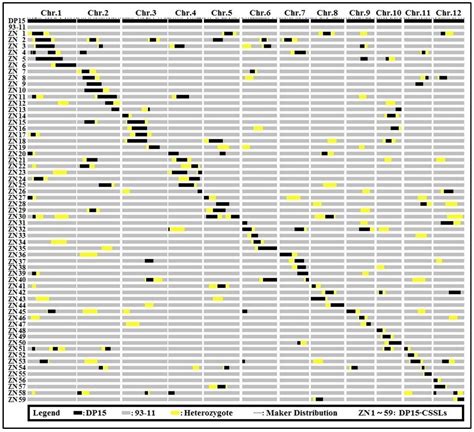 Detection of QTLs Regulating Six Agronomic Traits of Rice Based on ...