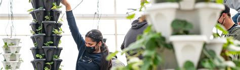 Agriculture > Find your program > Berry Production Essentials ...