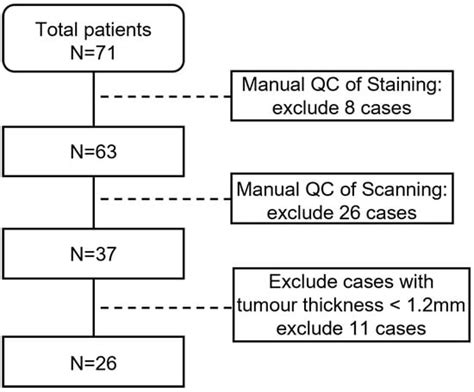 Integrating Spatial and Morphological Characteristics into Melanoma ...