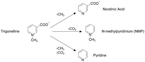 Validation of N-Methylpyridinium as a Feasible Biomarker for Roasted ...