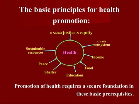 Understanding Health Promotion 的图像结果