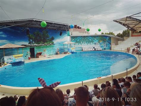 Anapa Dolphinarium (Nemo) - All You Need to Know BEFORE You Go (2025)