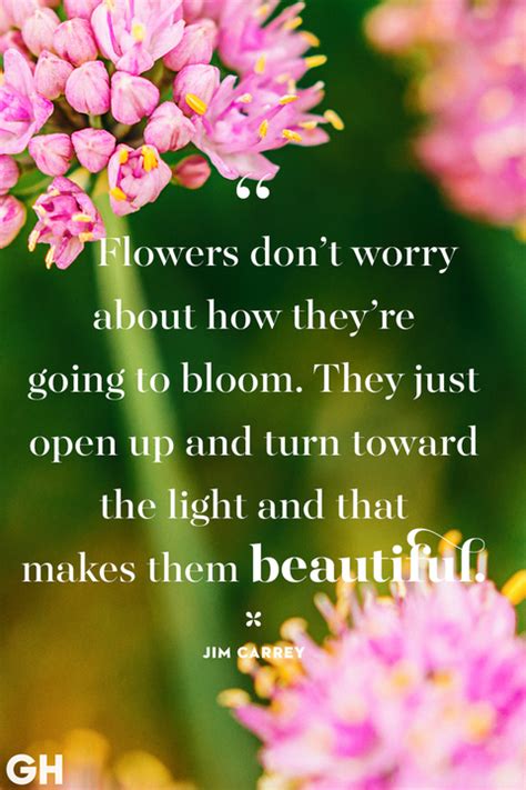 Image result for Springtime Quotes